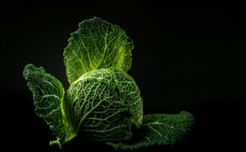 Jak dawniej robiono kapustę kiszoną?