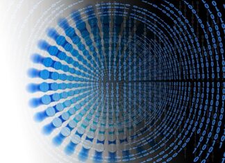 Kto kupuje bazy danych?