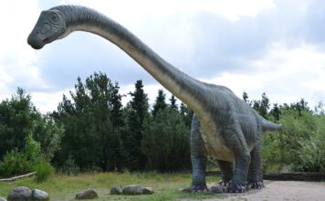 Co to jest triada CIA?