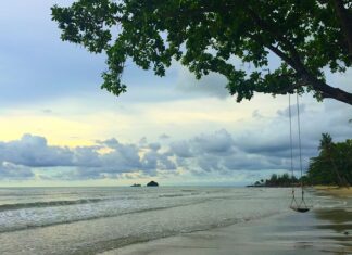 Czy na Krabi są rekiny?