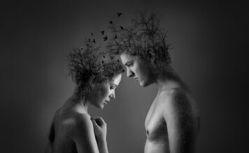 Gdzie idzie dusza psa po śmierci?