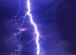 Jakie rasy psów są groźne?
