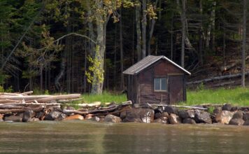 Jak zwiększyć ilość mazi w kolanie?