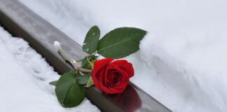 Czy jest imię Hanka?