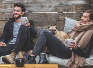 Jaki pies dla osoby pracującej?