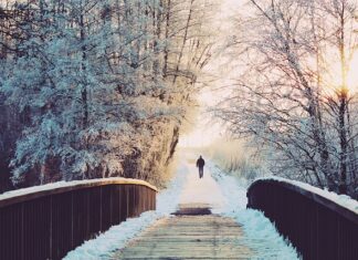 Czy mężczyźni wyczuwają dni płodne?