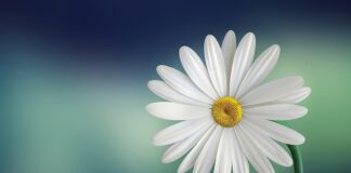 Co oznacza biały śluz i brak okresu?