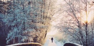 Czy dzień przed okresem są dni płodne?