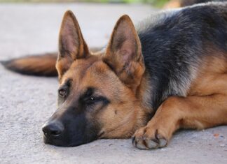 Co zrobić gdy nic mnie nie podnieca?