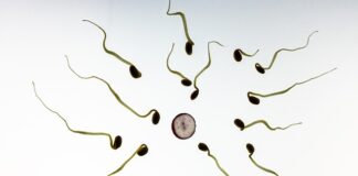 Czy to normalne że spermą wypływa z pochwy?